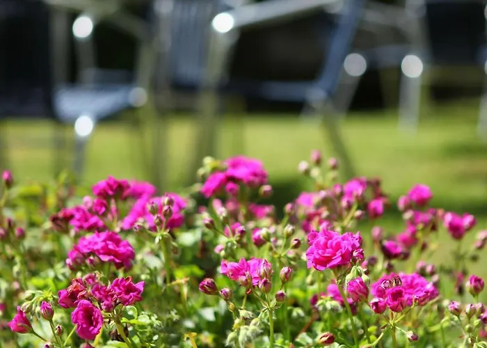 Hotell Metrokua Lekeitio